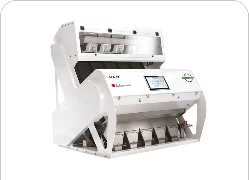 Electronic Sorting